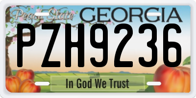 GA license plate PZH9236