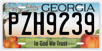 GA license plate PZH9239