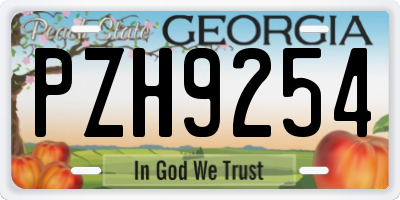 GA license plate PZH9254