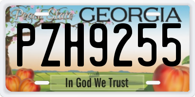 GA license plate PZH9255