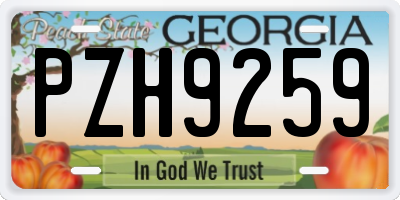 GA license plate PZH9259