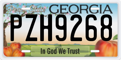 GA license plate PZH9268