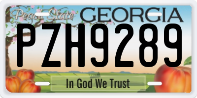 GA license plate PZH9289