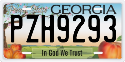 GA license plate PZH9293