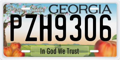 GA license plate PZH9306