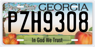 GA license plate PZH9308