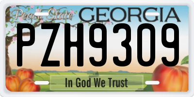 GA license plate PZH9309