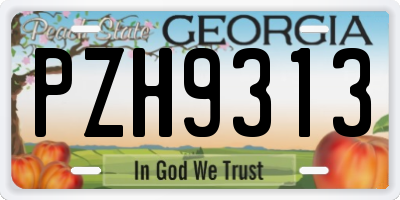 GA license plate PZH9313