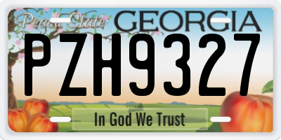 GA license plate PZH9327