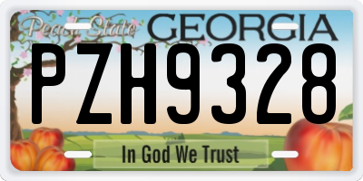 GA license plate PZH9328