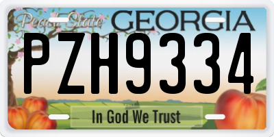 GA license plate PZH9334