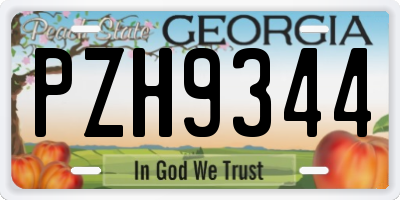 GA license plate PZH9344