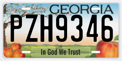 GA license plate PZH9346