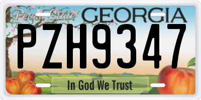 GA license plate PZH9347