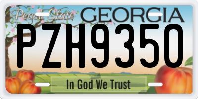 GA license plate PZH9350
