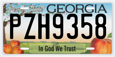 GA license plate PZH9358