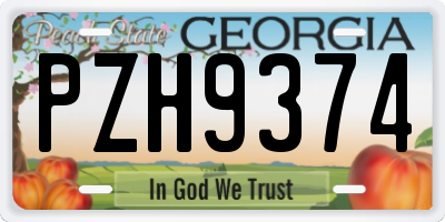 GA license plate PZH9374