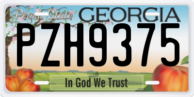 GA license plate PZH9375