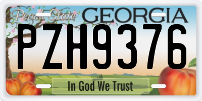 GA license plate PZH9376