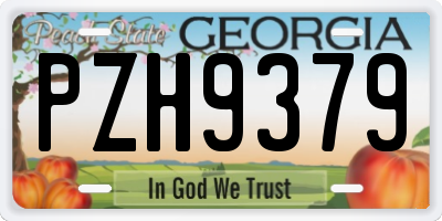 GA license plate PZH9379