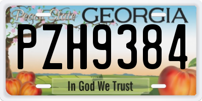 GA license plate PZH9384