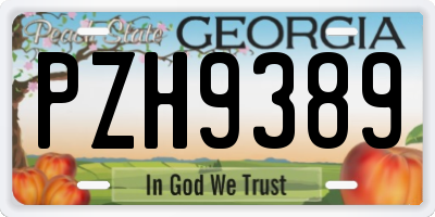 GA license plate PZH9389