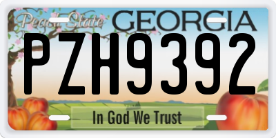 GA license plate PZH9392