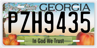 GA license plate PZH9435