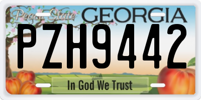 GA license plate PZH9442
