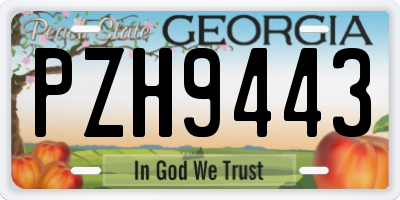 GA license plate PZH9443