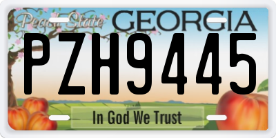 GA license plate PZH9445