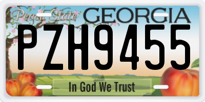 GA license plate PZH9455