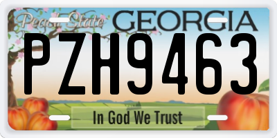 GA license plate PZH9463