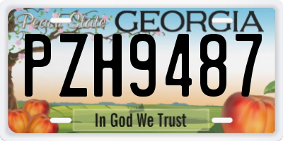 GA license plate PZH9487