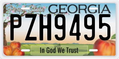 GA license plate PZH9495