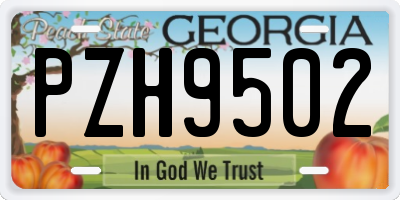 GA license plate PZH9502