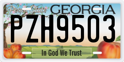 GA license plate PZH9503