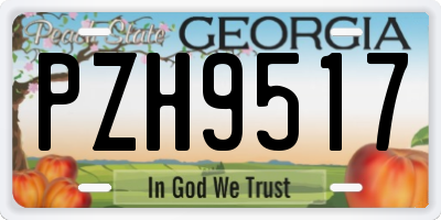 GA license plate PZH9517