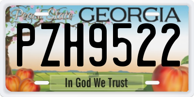 GA license plate PZH9522