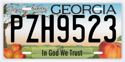 GA license plate PZH9523