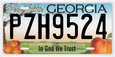 GA license plate PZH9524