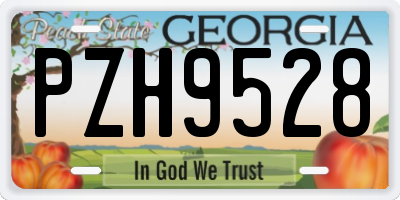 GA license plate PZH9528