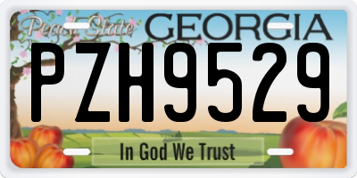 GA license plate PZH9529