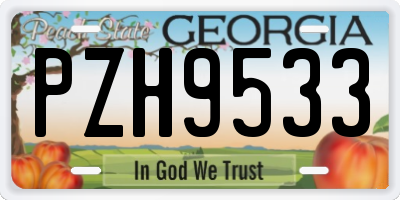 GA license plate PZH9533