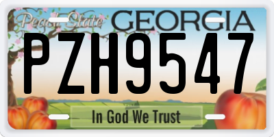 GA license plate PZH9547