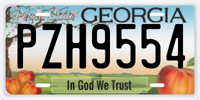 GA license plate PZH9554