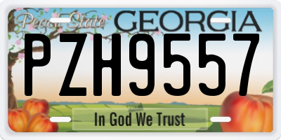 GA license plate PZH9557