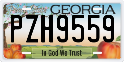 GA license plate PZH9559