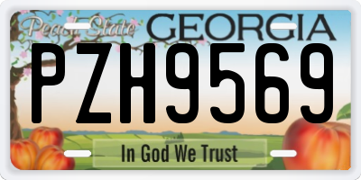 GA license plate PZH9569