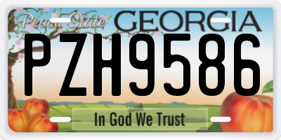 GA license plate PZH9586